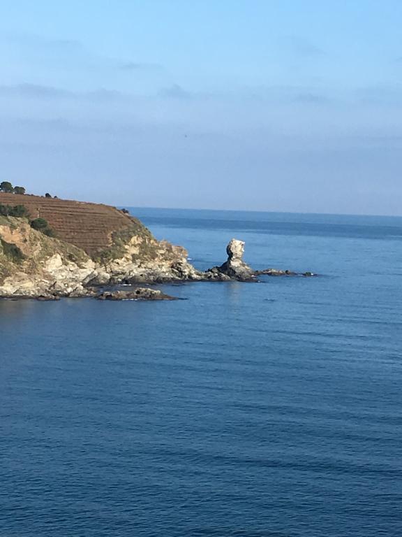מלון Ibis Styles Collioure פור-ונדרה מראה חיצוני תמונה